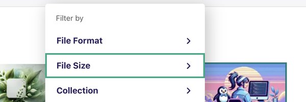 Filters In Image IndexView